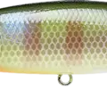 BE Gill