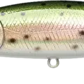 Laser Rainbow Trout