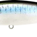 Live Threadfin Shad