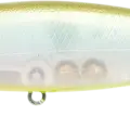 Golden Ghost Minnow