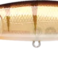 Walleye