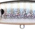 Blue Gill