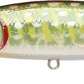 Aurora Northern Pike