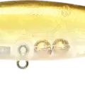 Aurora Ghost Golden Shiner