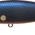 Orange Night Shad