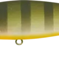 NC Female Blue Gill