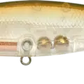 Aurora Ghost Shad