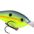 Sexy Shad