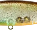 Flake Flake Striped Gill
