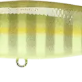 Sexy Chartreuse Perch