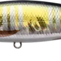 Keta Bass
