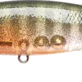 Flake Flake Male Gill