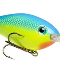 Powder Blue Back Chartreuse