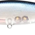 Ghost Blue Shad