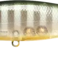 Ghost Sun Fish