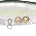 Phantom Chartreuse Shad