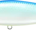 Citrus Shad