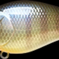 BE Gill