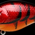 Spring Craw
