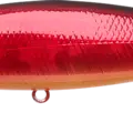 Aurora Craw