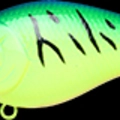 Blue Chart Tiger