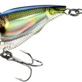 Prism Sunfish