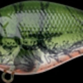 TO Water Melon Craw