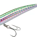 Metallic Rainbow Trout