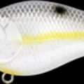 Sexy Chartreuse Shad