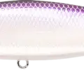 Lavender Shad