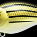 TX Yellow Bass