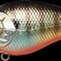 Flake Flake Kabuki Gill