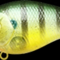 Flake Flake Golden Sun Fish