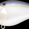 Pearl Threadfin Shad