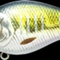 Keta Bass