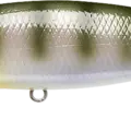 Natural Bream