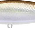 Gizzard Shad