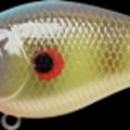 Red Eye