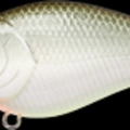 Moss Back Shad