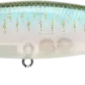 Live Ghost Minnow