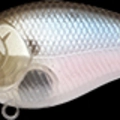Ghost Minnow