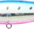 Blue Pink Sardine RT (Red Tail)