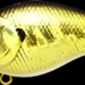Aurora Gold