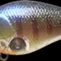 CF Flake Flake BE Gill