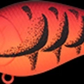 Mad Craw