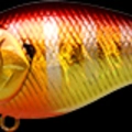 Magma Heat Up Gill