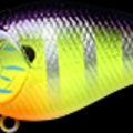 Gorgeous Purple Chart Gill