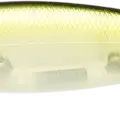 Silver Cheek Clear Water Shad