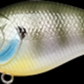 Natural Bream