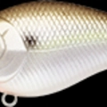Gizzard Shad